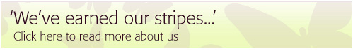 We've earned our stripes. Click here for more about us.